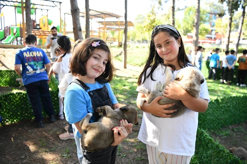 4.Pati Şenliği’nde hayvanseverler ve can dostları buluştu