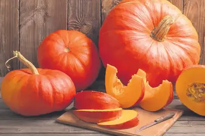 Bal kabağı mevsimi