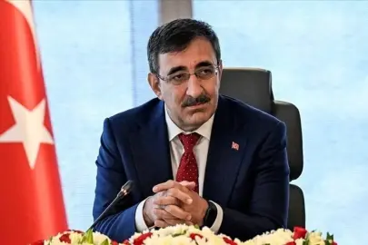 Doğrudan yatırımlar % 46 arttı