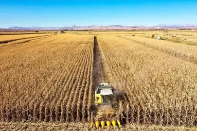 Tarımsal girdi fiyat endeksi ekimde arttı