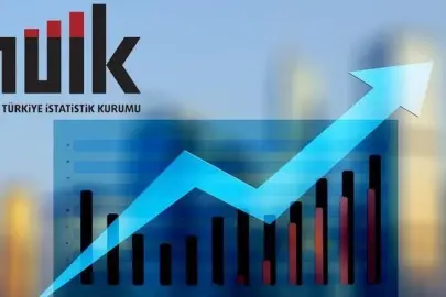 Toplam girişimde en büyük pay KOBİ'lerin