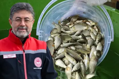 Balık üretiminde cumhuriyet tarihi rekoru kırıldı