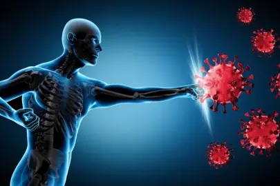 Hangi diyet bağışıklığı güçlendiriyor? Cevabı bilim veriyor
