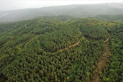 Orman kadastrosu uygulaması düzenlendi