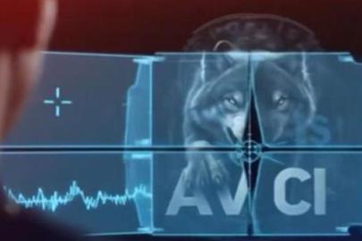 14 ilde düzenlenen uyuşturucu operasyonlarında 305 şüpheli yakalandı