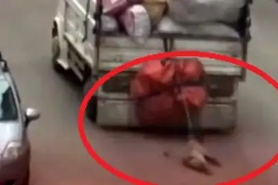 Ankara’da vahşet! Kamyonetin arkasına bağlanan köpek kurtarıldı