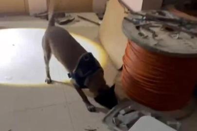 Avcılar'da uyuşturucu operasyonu: 50 kilo 809 gram metamfetamin ele geçirildi