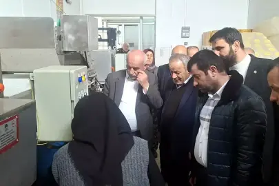 Bafra'da kurulacak turşu fabrikası için Ankara'da teknik inceleme yapıldı