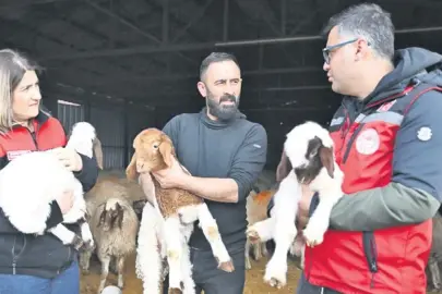 Besiciler hayvan desteğiyle güldü