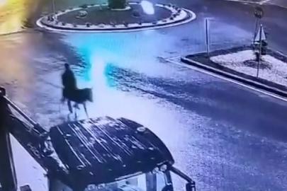 Forkliftle soyup eşekle kaçtı! 