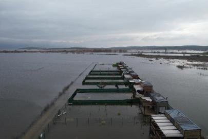 Göl yatağı arsa diye satıldı evler havuza döndü