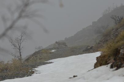 Kemaliye’de vaşak ve kızıl akbaba doğal yaşam alanlarında görüntülendi