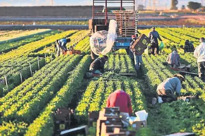 Kırsaldaki girişimciye 1.7 milyar destek