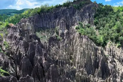 Korunan alan sayısı 692'ye yükseldi