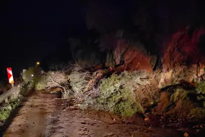 Mudanya-Kurşunlu yolunda geceyarısı heyelan! Yol ulaşıma kapandı