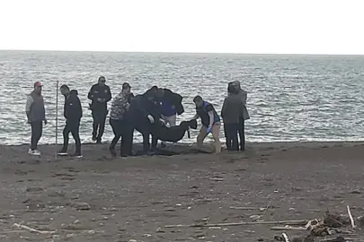 Muğla’da sahilde parçalanmış erkek cesedi bulundu
