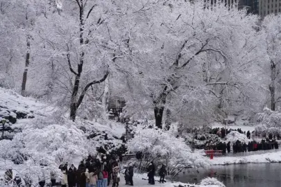 New York'ta Aşırı Soğuk 18 Kişinin Hayatını Kaybettirdi