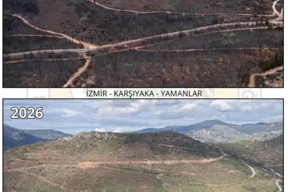 Orman yangını ile zarar gören Yamanlar, yeşile bürünüyor