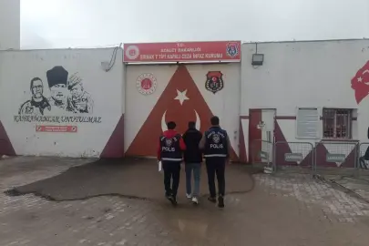 Şırnak'ta 2 firari hükümlü yakalandı