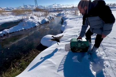 Soğuk hayata mola verdirdi