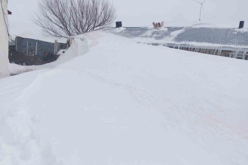 Taşlıçay’da kar yığınları evlerin boyuna ulaştı