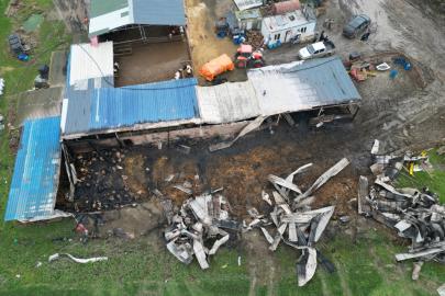 Tekirdağ’da çiftlik yangını: 60 küçükbaş telef oldu