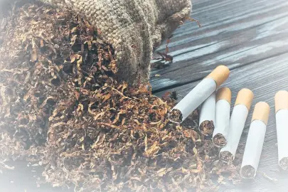 Tütün lobisinin bağımlılık oyunu