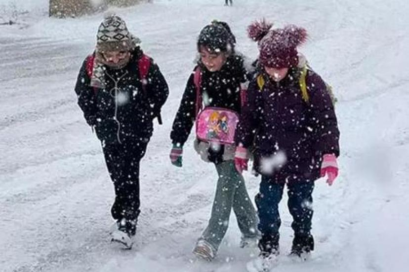 Van'da eğitime kar engeli! İşte tatil olan ilçeler