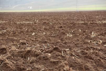 ZMO Başkanı Doğan: Hunharca tükettiğimiz hayat kaynağı toprağı korumak zorundayız