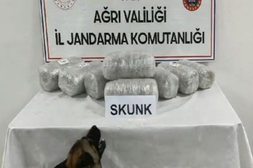 Ağrı’da 10 kilogram skunk ele geçirildi, 1 şüpheli tutuklandı