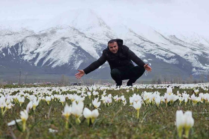 Bitlis’te baharın müjdecisi kardelenler açtı