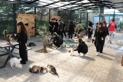 Bursa Yıldırım’da gençlerden patili dostlara sevgi ziyareti