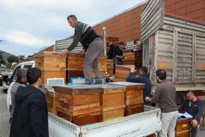 Bursa'da arıcılık Büyükşehir'le canlandı