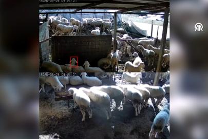 Denizli’de 5.1 büyüklüğündeki deprem anı kamerada