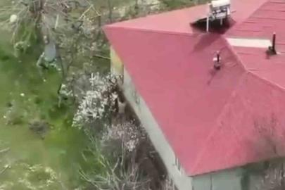 Elazığ’da 16 yıl kesinleşmiş hapis cezası olan hükümlü yakalandı