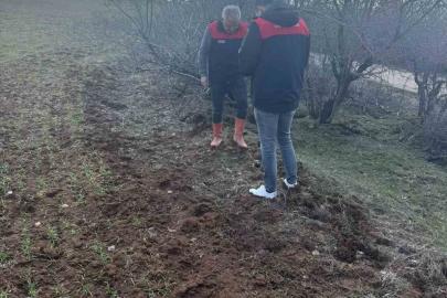 Elazığ’da tarla faresi  sürvey çalışması
