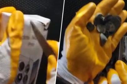 Gümrükte operasyon. Türkiye'den kaçırılmak üzereyken yakalandı