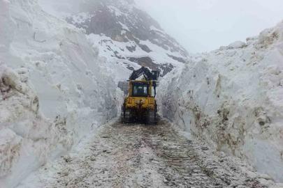 Hakkari’de 56 yerleşim yerinin yolu ulaşıma kapandı