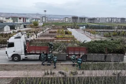 Kayseri Kocasinan'dan ağaç dikme rekoru