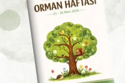 MEB’den “Orman Haftası” için okul öncesi etkinlik takvimi