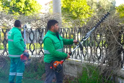 Muğla Milas'ta ilkbahar bakımları sürüyor