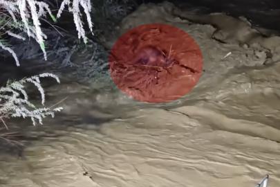 Taşan çayın sularına kapıldı. 4 saatlik operasyonla kurtarıldı