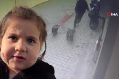 Üç yaşındaki Ada'ya iki köpek saldırdı. Sahibinin köpekleri serbest bıraktığı iddia edildi