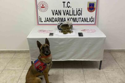 Van’da 1 kilo 64 gram skunk maddesi ele geçirildi
