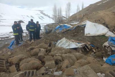 Van’da ahır çöktü, 23 küçükbaş hayvan telef oldu