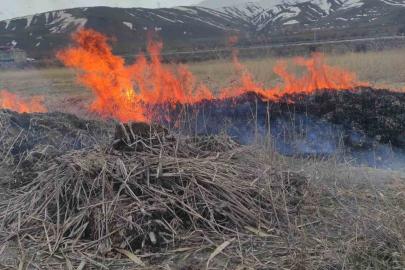Van’ın Gevaş ilçesinde anız yangını