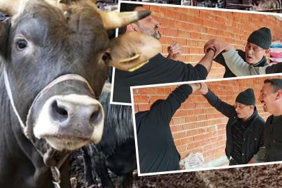 Yarım saat süren kurban pazarlığı: "Kolları kopacak sandık"