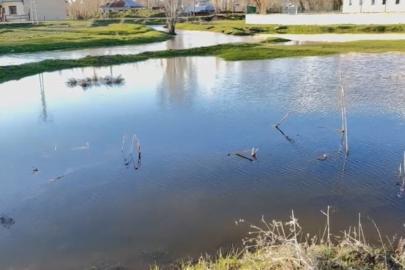 Ağrı’da sağanak nedeniyle dereler taştı