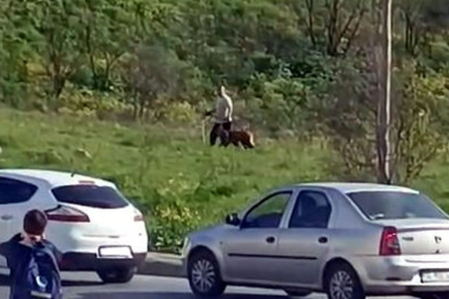 Avcılar'da köpeğe şiddet. Çevredekilerin tepkilerine aldırış etmedi
