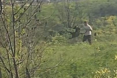 Avcılar’da köpeğine kemerli şiddet uygulayan kişi yakalandı